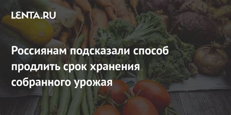 Обработка собранного урожая