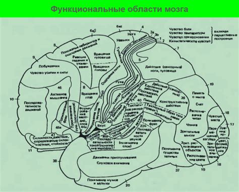 Обработку зрительной информации