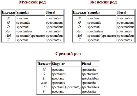 Образование и склонение двойственного числа