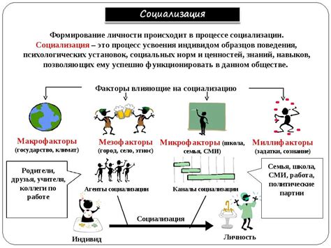 Образование и социализация