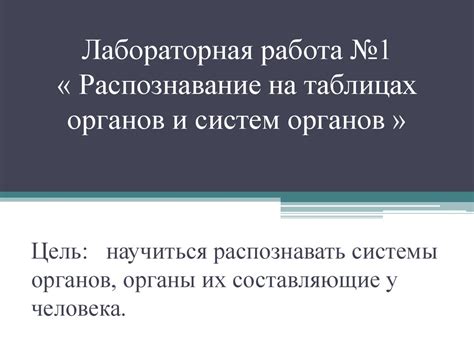 Образование основных органов и систем