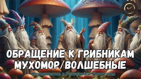 Обращение к опытным грибникам