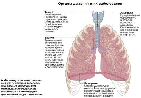 Обучение технике дыхания