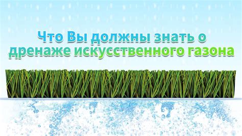 Общая информация о дренаже газона