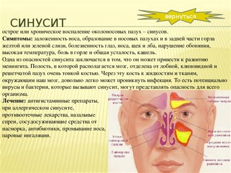 Общая информация о слизи из носа