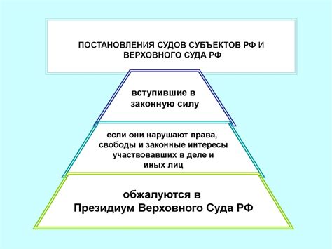 Общая сущность надзорной инстанции