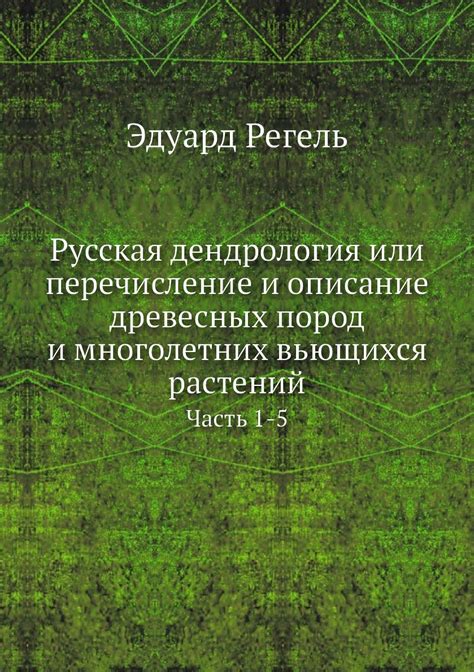 Общее описание вью в PostgreSQL