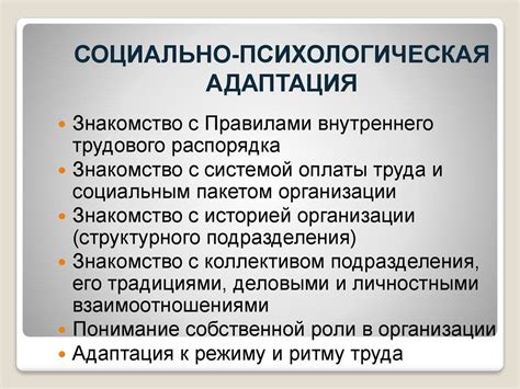 Общественная адаптация рецидивистов