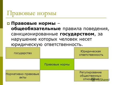 Обществознание: правовые нормы и понятия