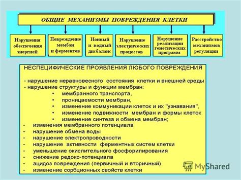 Общие механизмы божественного похищения