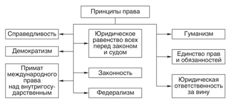 Общие принципы