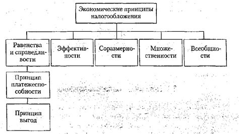 Общие принципы налогообложения