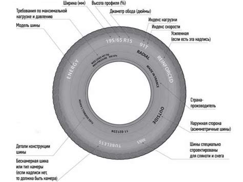 Общие сведения о радиусе шины