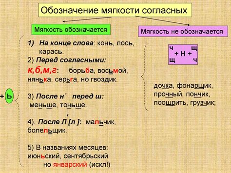 Объяснение роли мягкого знака