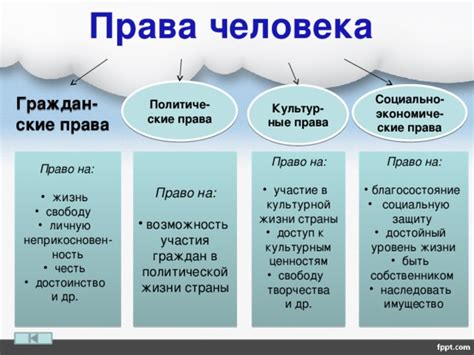 Обязанности и права