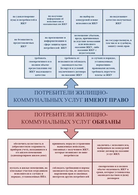 Обязанности и права потребителей электронной отчетности