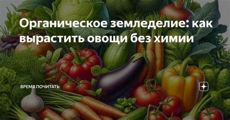 Овощи - эко-продукты без химии