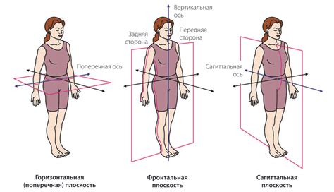 Ограниченное движение в суставах