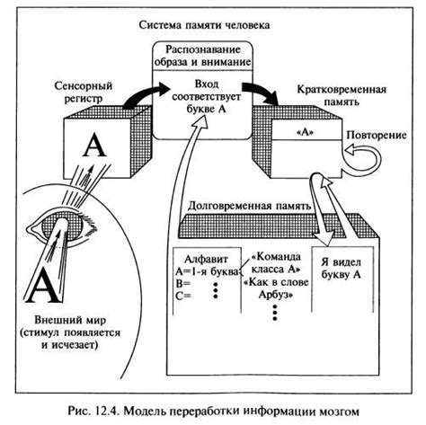 Ограниченность памяти человека