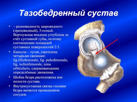 Окостенение суставов