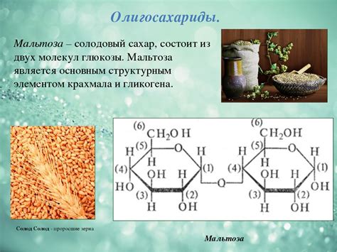 Олигосахариды: средняя форма сахара