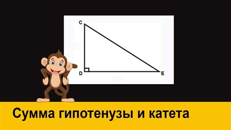 Онлайн калькулятор гипотенузы и катета: быстро и легко