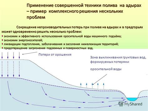 Опасность использования некачественной воды в поливе