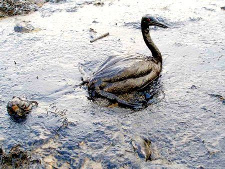 Опасность и вред, наносимые марганцем в воде