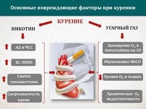 Опасность оксида углерода для сердечно-сосудистой системы