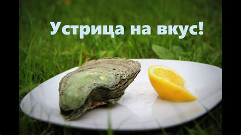 Описание вкусовых особенностей: