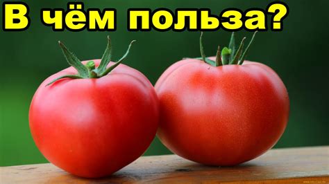 Описание питательных и лечебных свойств кабачков и помидоров для организма