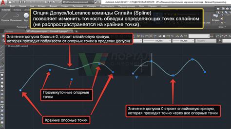 Описание сплайна в Автокаде