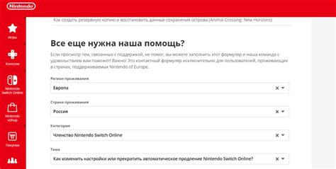 Оплата и завершение покупки в Нинтендо шоп в России