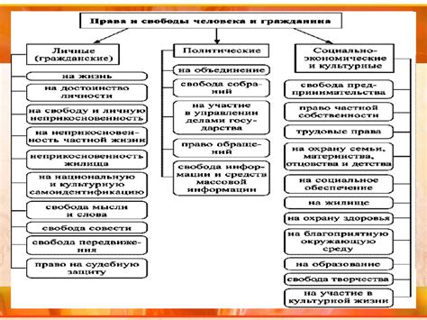 Определение, права и обязанности