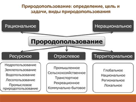 Определение, цель и виды