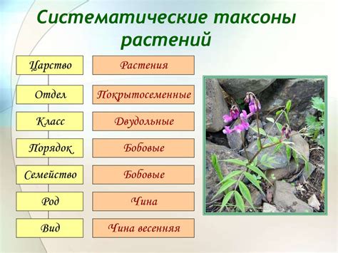 Определение видов тонкого металла