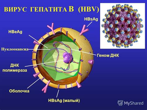 Определение вирусного батника