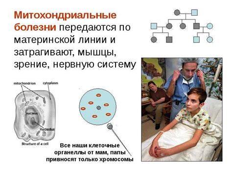 Определение гетерозиготной мутации