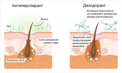 Определение дезодоранта и его назначение