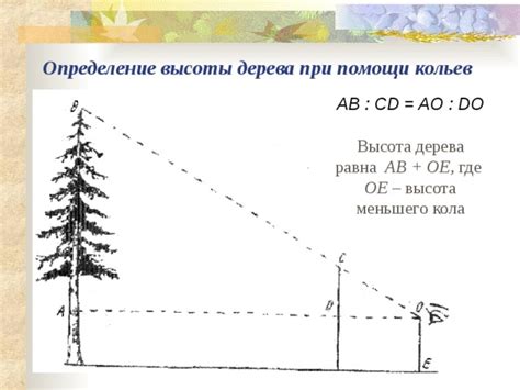 Определение дерева по длине тени