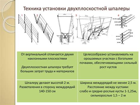 Определение длины и высоты шпалеры