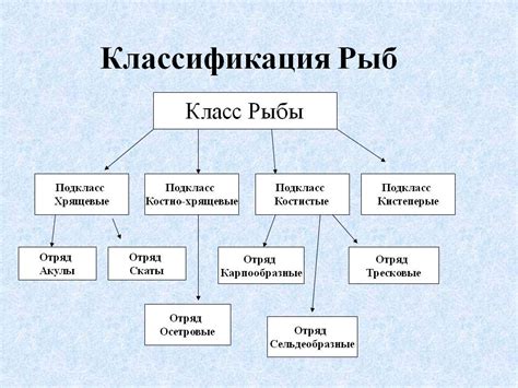 Определение задачи классификации и ее ключевые характеристики