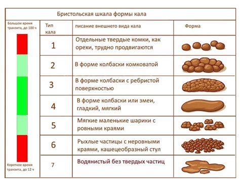 Определение и значение уробилиногена в кале