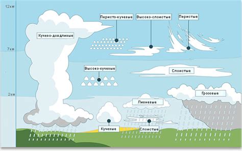 Определение и классификация облачности