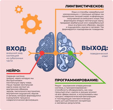 Определение и применение НЛП в современном мире