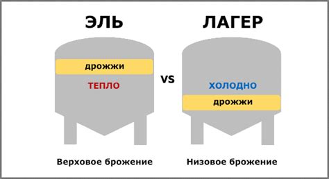 Определение и принципы низового брожения