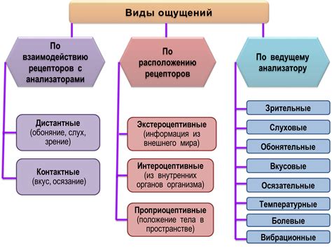 Определение и смысл пассивности восприятия