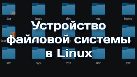 Определение и структура исполняемых файлов в Linux