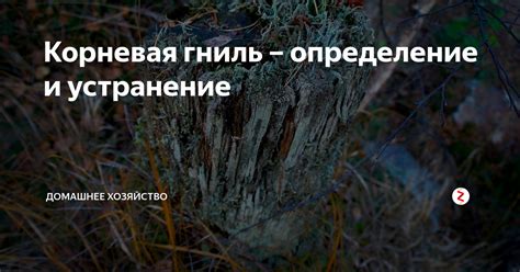 Определение и устранение интерференций