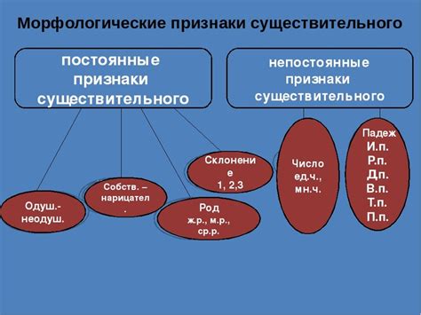 Определение категории существительного